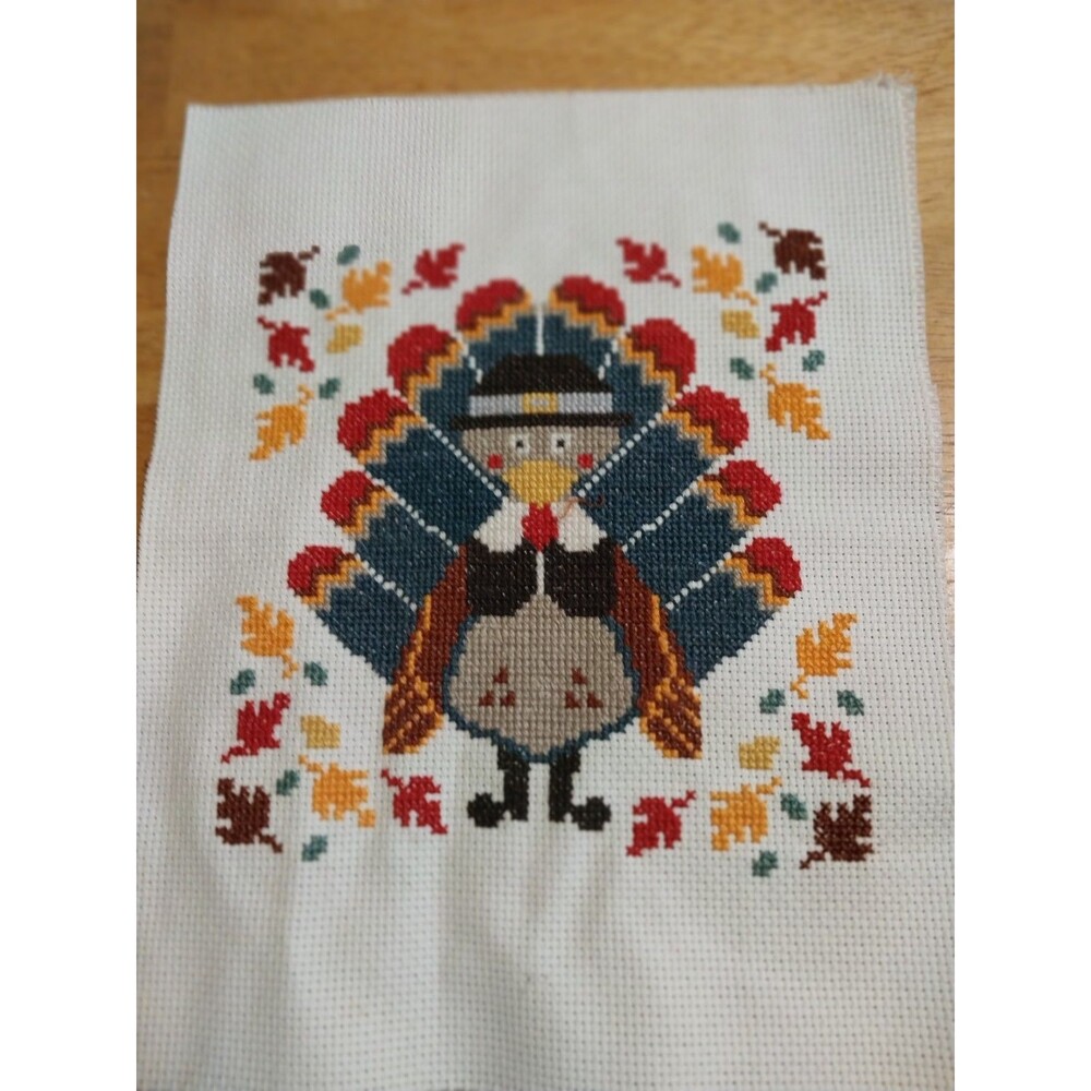 14 ct Thanksgiving Turkey Finished Completed 8X10